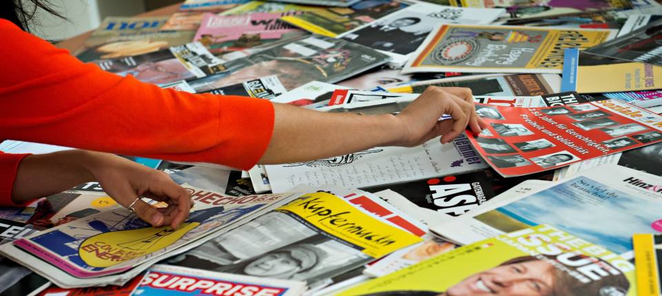 Organisational development support